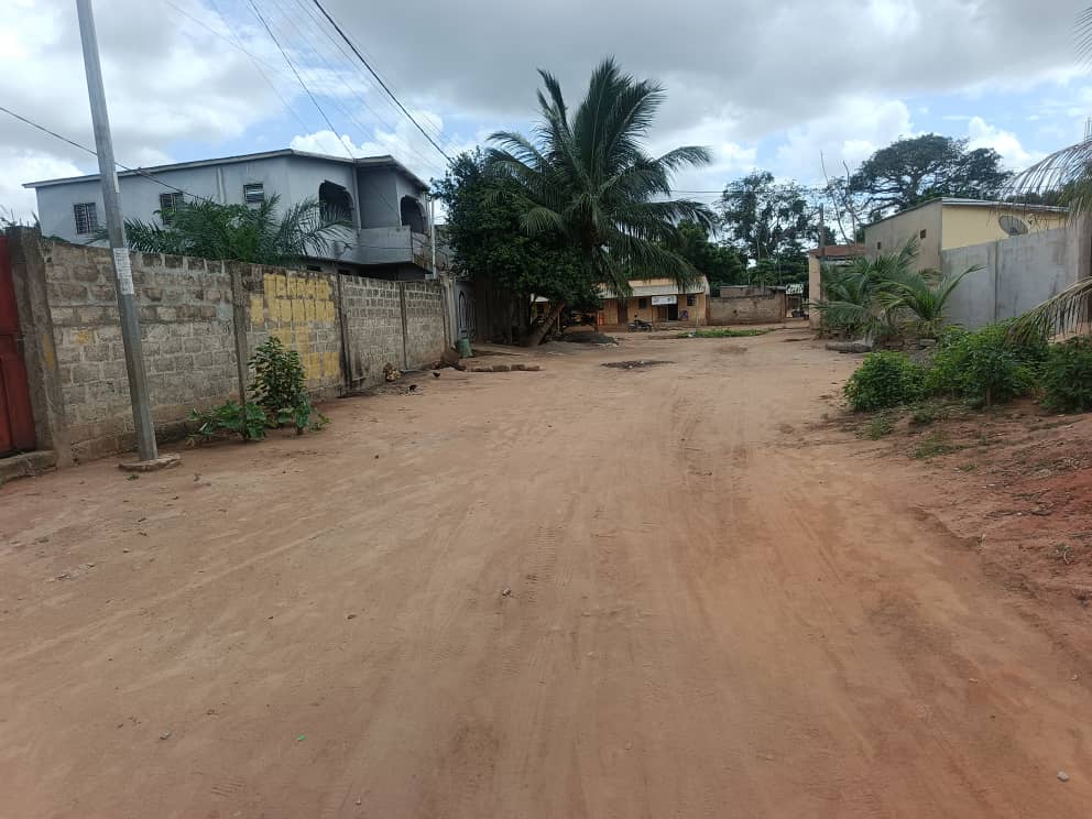 Terrain de 1 lot en vente à Sanguera-KOPEGAN – 22 millions FCFA