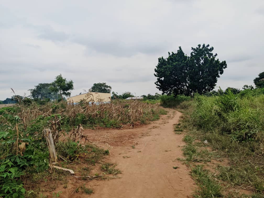 Terrain de 600 m² en vente à Adidogomé derrière le cour primaire – 8 millions FCFA