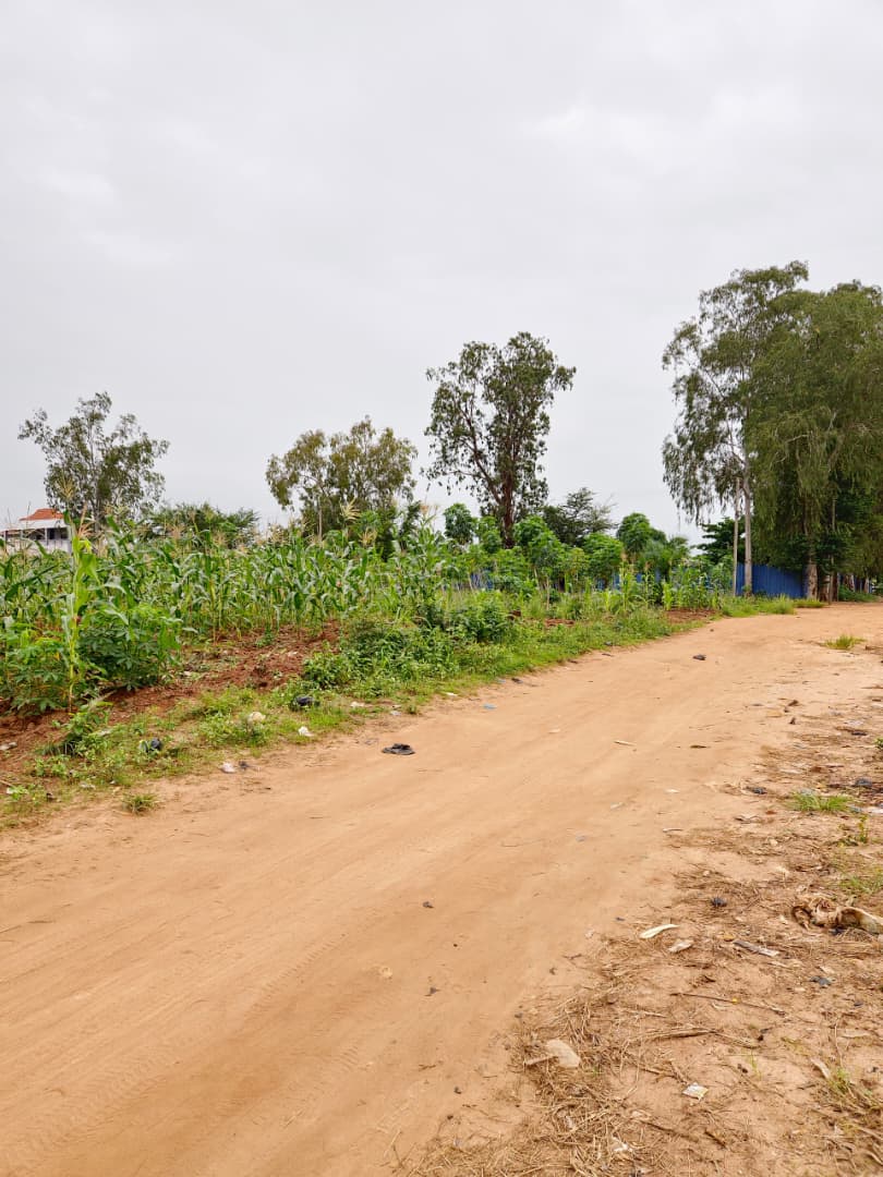 Terrain de 2996 m² en vente à Sanguéra Marché – 25 000 000 FCFA le lot