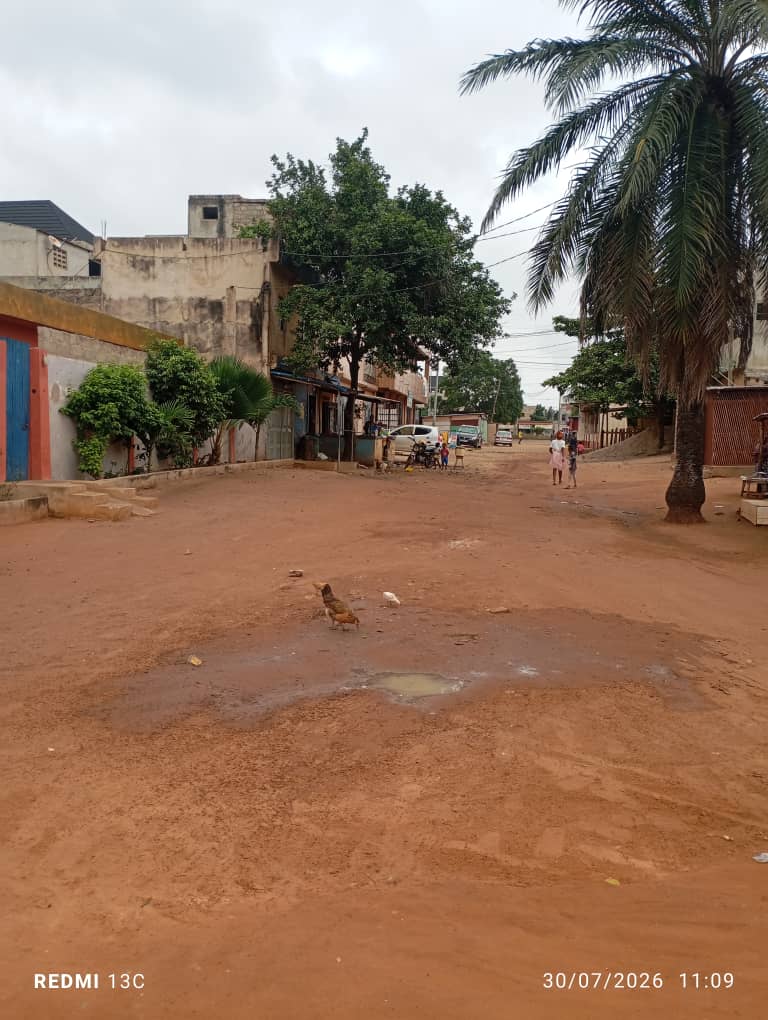 Terrain en vente proche du goudron à Agoé Assiyéyé – 45 millions FCFA