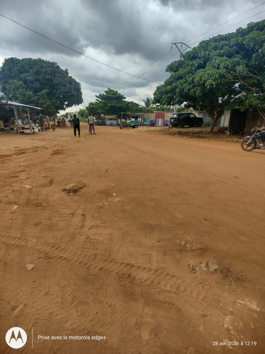 Terrain de 300 m² en vente à Agoè Daliko (secteur Camp GP) – 11 000 000 FCFA