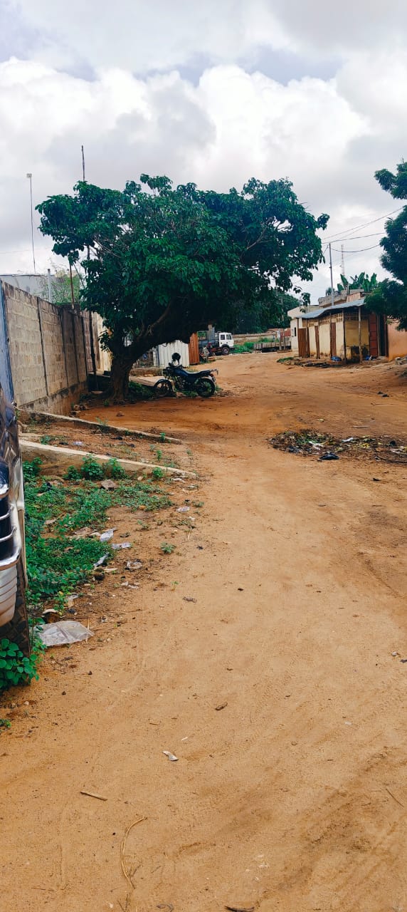 Terrain de 1 lot en angle de rues clôturé à vendre à Agoè Nyivé Gendarmerie – 50 millions FCFA