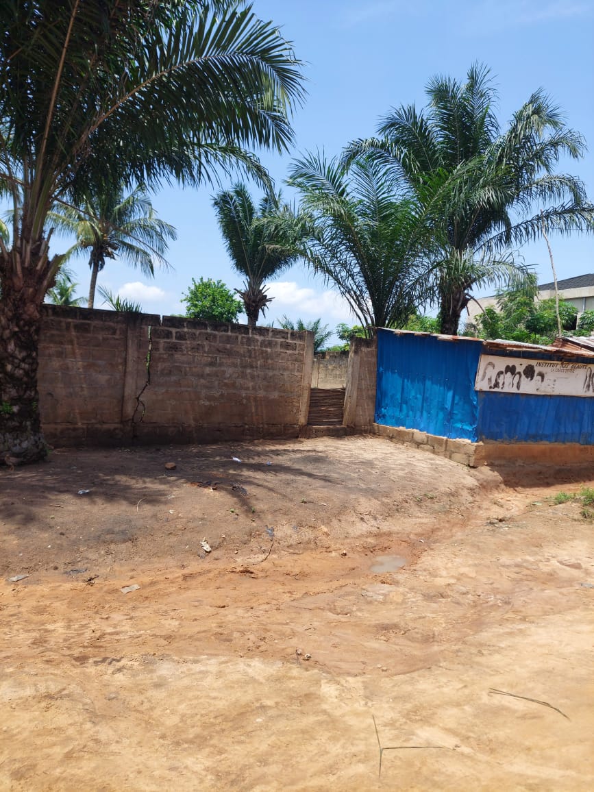 Terrain en vente à Adétikopé, proche du goudron – 16 millions FCFA