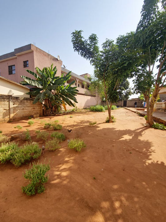 Terrain d'un lot ⅓ (800 m²) en vente en bord de goudron à Agbalepedo – 70 millions FCFA