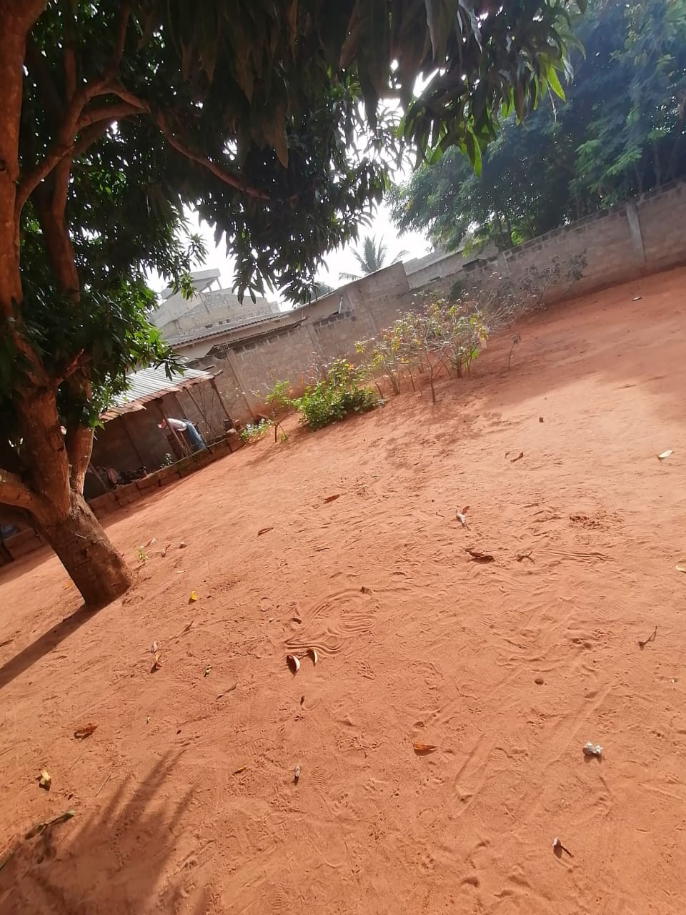 Terrain 300 m² en vente à Adidogomé – 15 millions FCFA