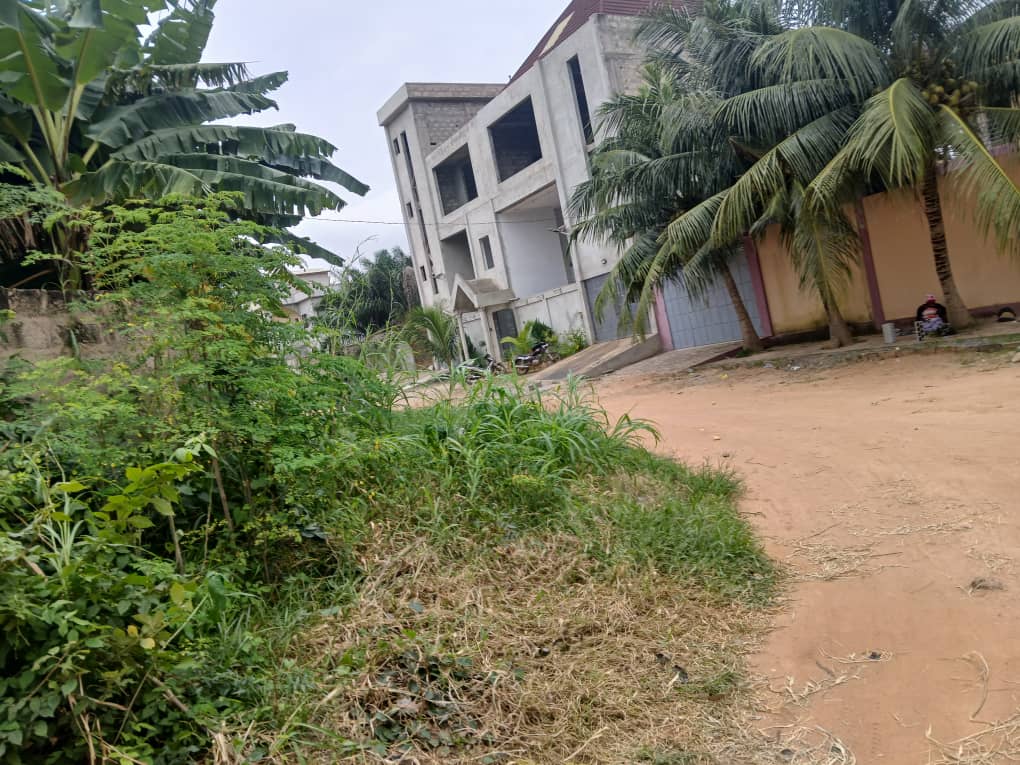 Terrain de 1800 m² (3 lots) en vente à Adidogomé Apédokoé, proche du goudron – 26 millions FCFA