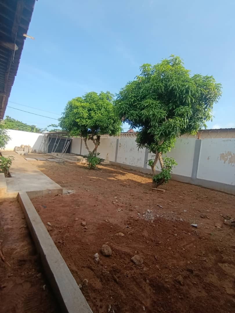 Villa basse à louer à Vakpossito non loin de l'église Témoins de Jéhovah – 80 000 FCFA