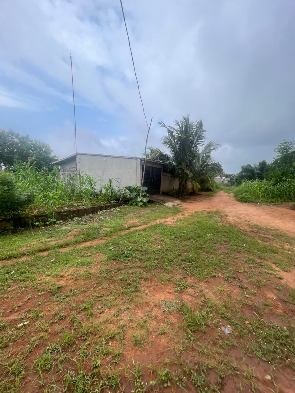 Terrain de 150 m² en vente à Zanguera – 3.500.000 FCFA
