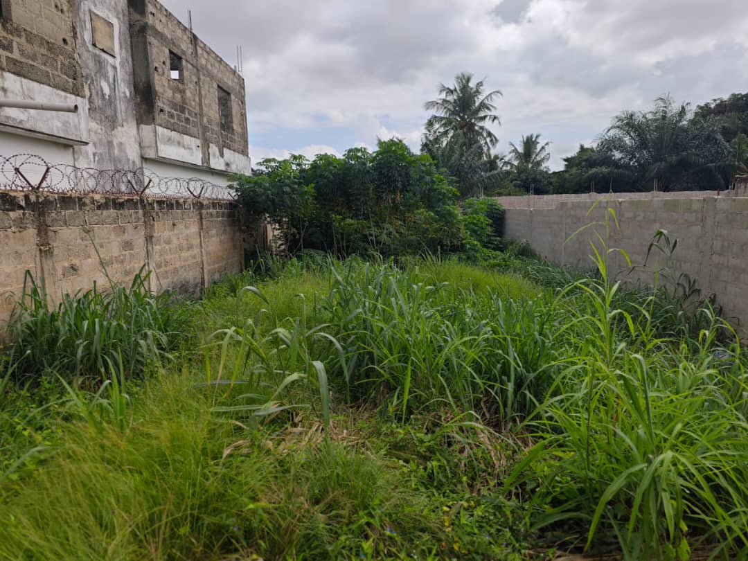 Terrain de 300 m² en vente à Atigangomé – 18 millions FCFA