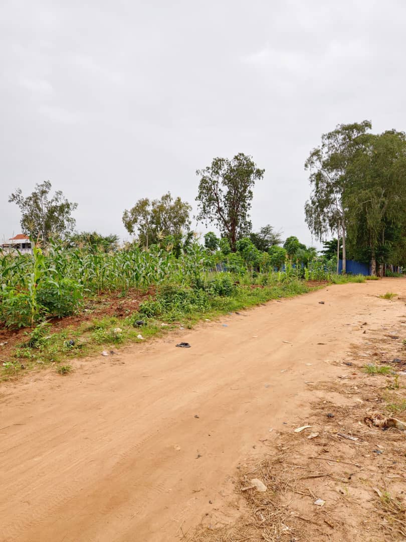 Terrain de 1800 m² (3 lots) en vente à Adidogomé Apédokoé, proche du goudron – 26 millions FCFA