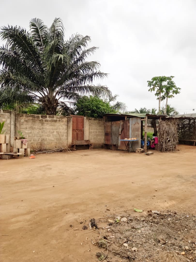 Terrain demi-lot de 300 m² en vente à Legbassito Zovadjin – 11 millions FCFA