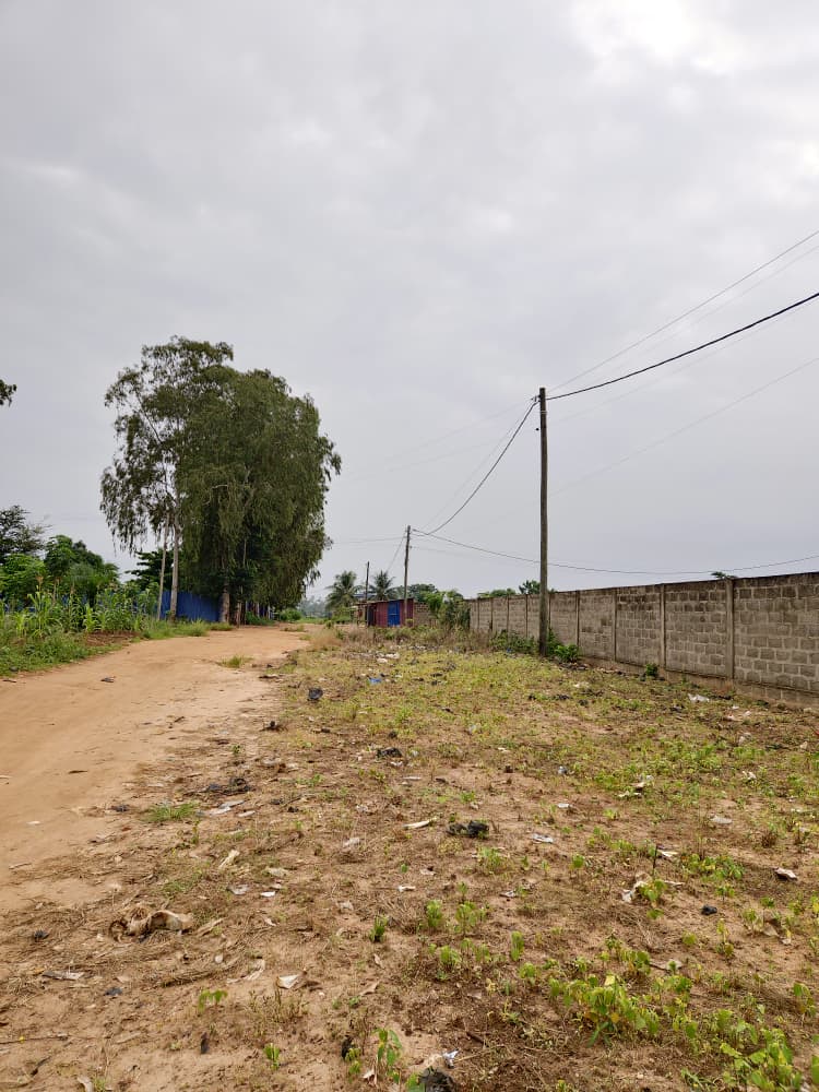 Terrain de 2996 m² en vente à Sanguéra Marché, bordure de 3 voies – 25 millions FCFA le lot