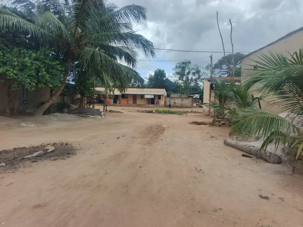Terrain de 1 lot en vente à Sanguera-KOPEGAN – 22 millions FCFA