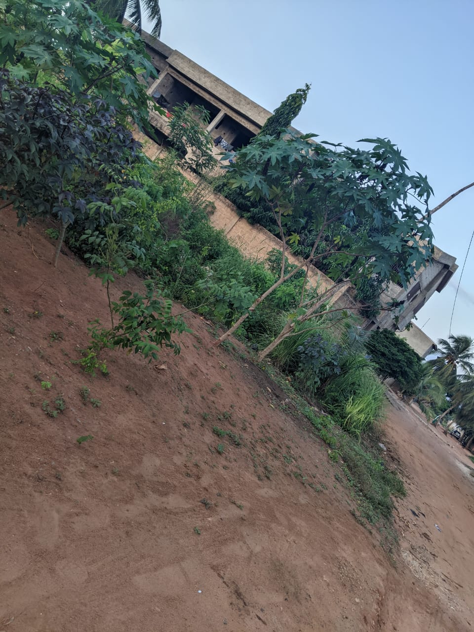 Terrain de 4 lots en vente à Akato Viépé – 17 millions FCFA le lot