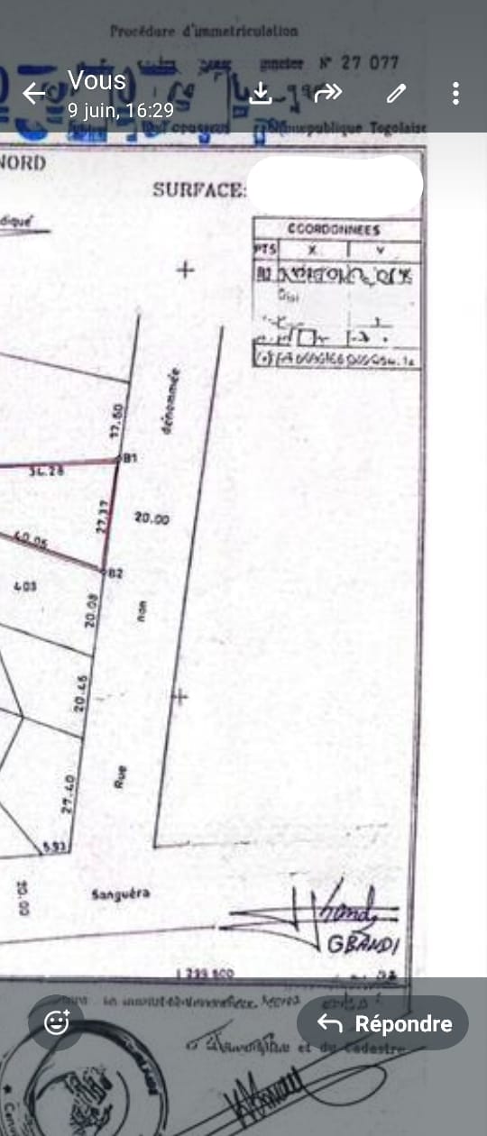 Terrain de 600 m² en vente en bordure de voie à Agoè Assiyéyé – 35 millions FCFA