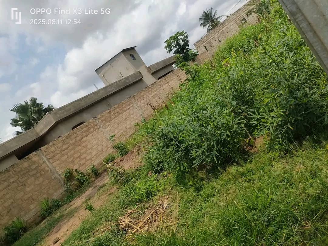 Demi lot en vente en angle de rue à Agoè Sogbossito – 11 millions FCFA