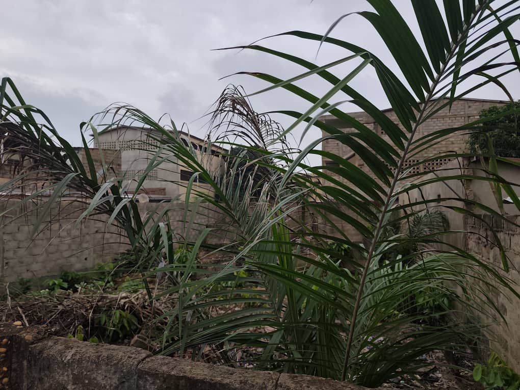 Terrain de 300 m² à vendre à Agoè Assiyéyé près du Lycée Agoè Nord – 20.500.000 FCFA