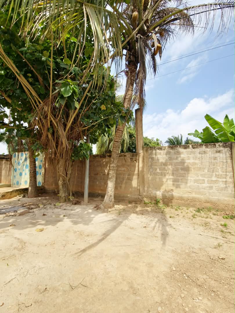 Terrain de 600 m² en vente, angle de rue et bord du goudron à Davié – 12 millions FCFA