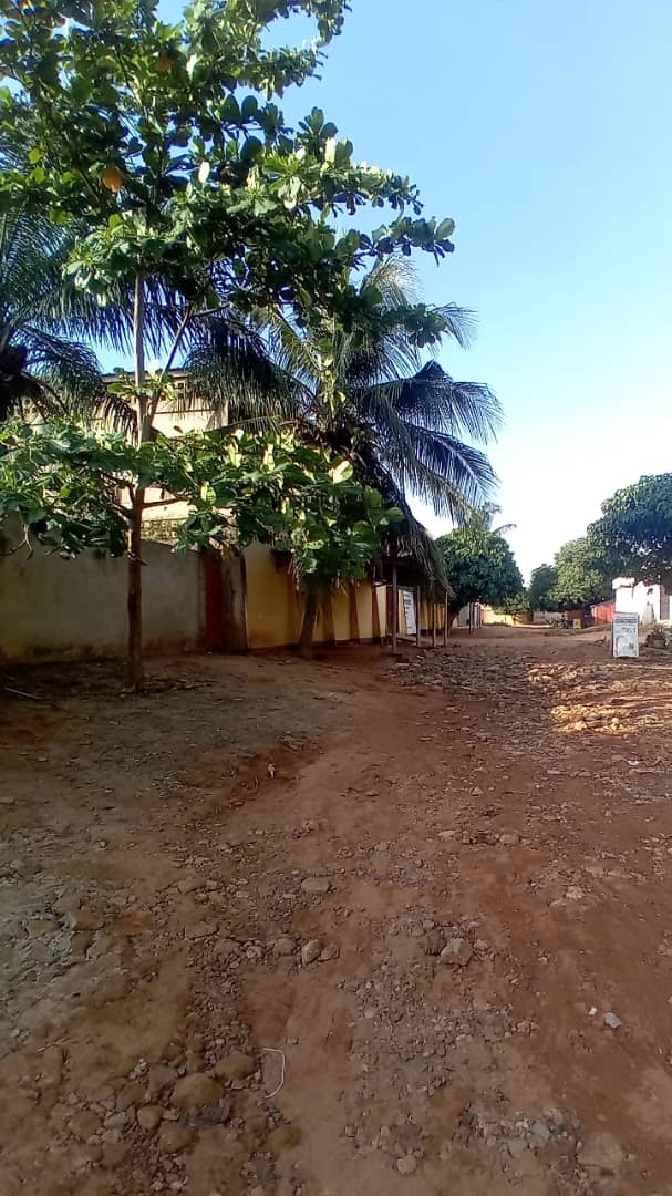 Demi lot de terrain en vente à Agoe Sogbossito non loin du bar Izi – 15 000 000 FCFA