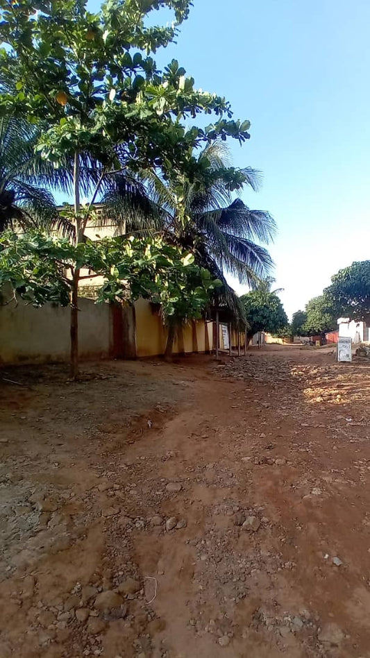 Demi lot de terrain en vente à Agoe Sogbossito non loin du bar Izi – 15 000 000 FCFA