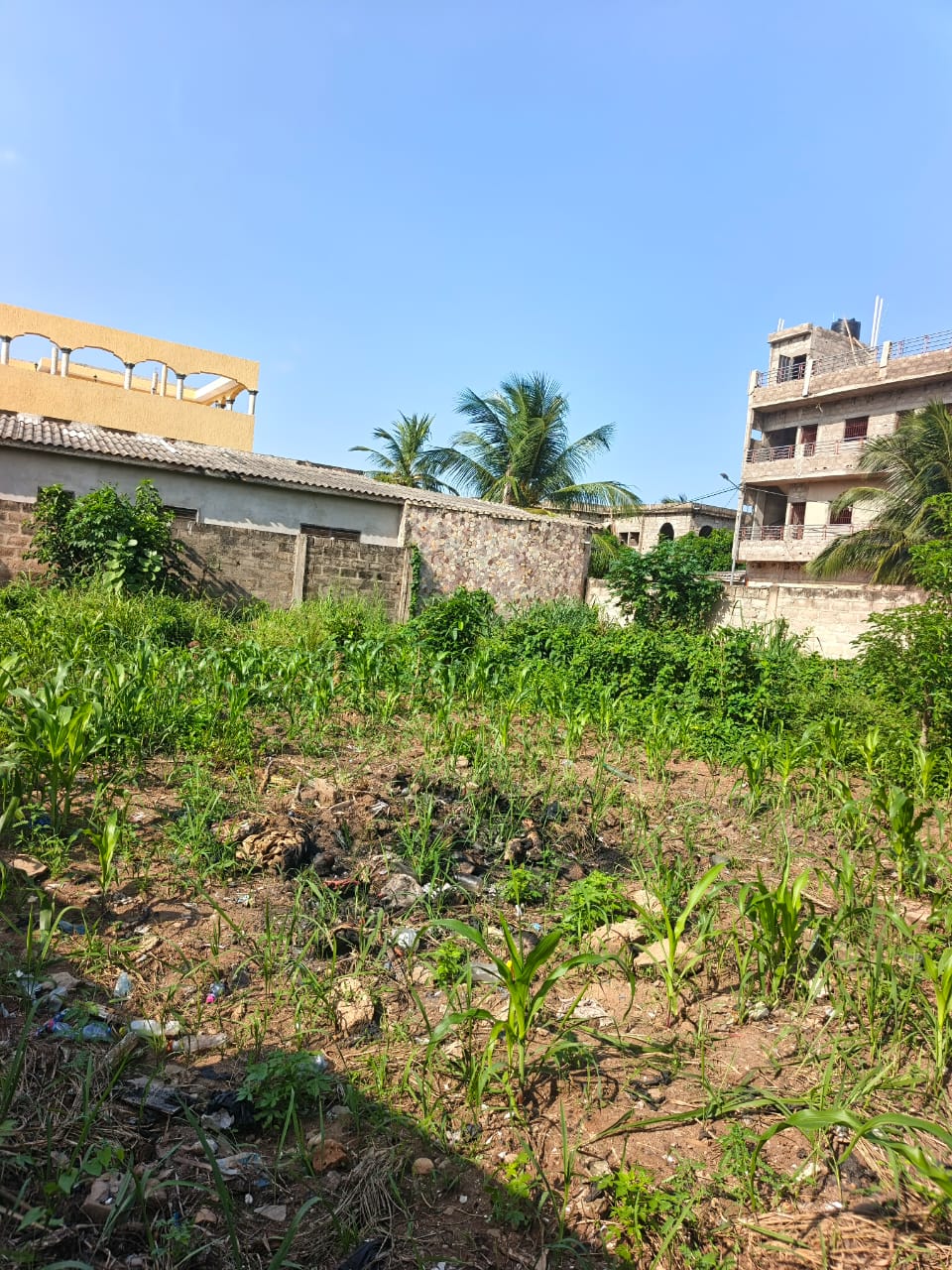 Terrain de 397 m² en vente à Zanguera – 25 millions FCFA