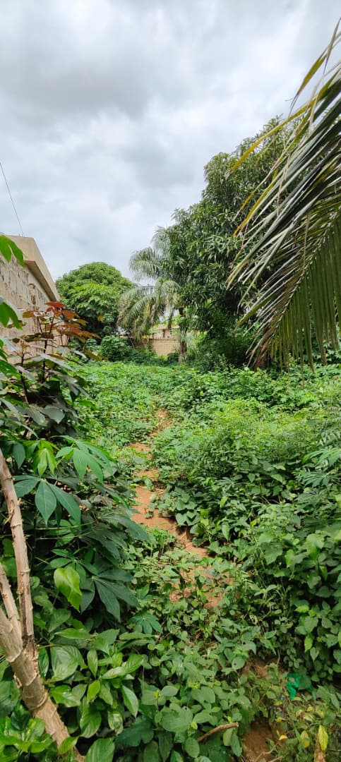 Terrain de 602 m² en vente à Agoè Legbassito, 500m du goudron – 30 millions FCFA