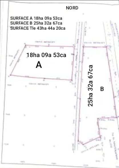 Terrain de 43 hectares en vente en bordure du goudron à Notsè – 25 millions FCFA l'hectare
