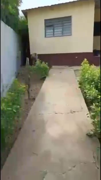 Maison sur demi lot en angle de rue à vendre à Tokoin Super Taco – 38 millions FCFA