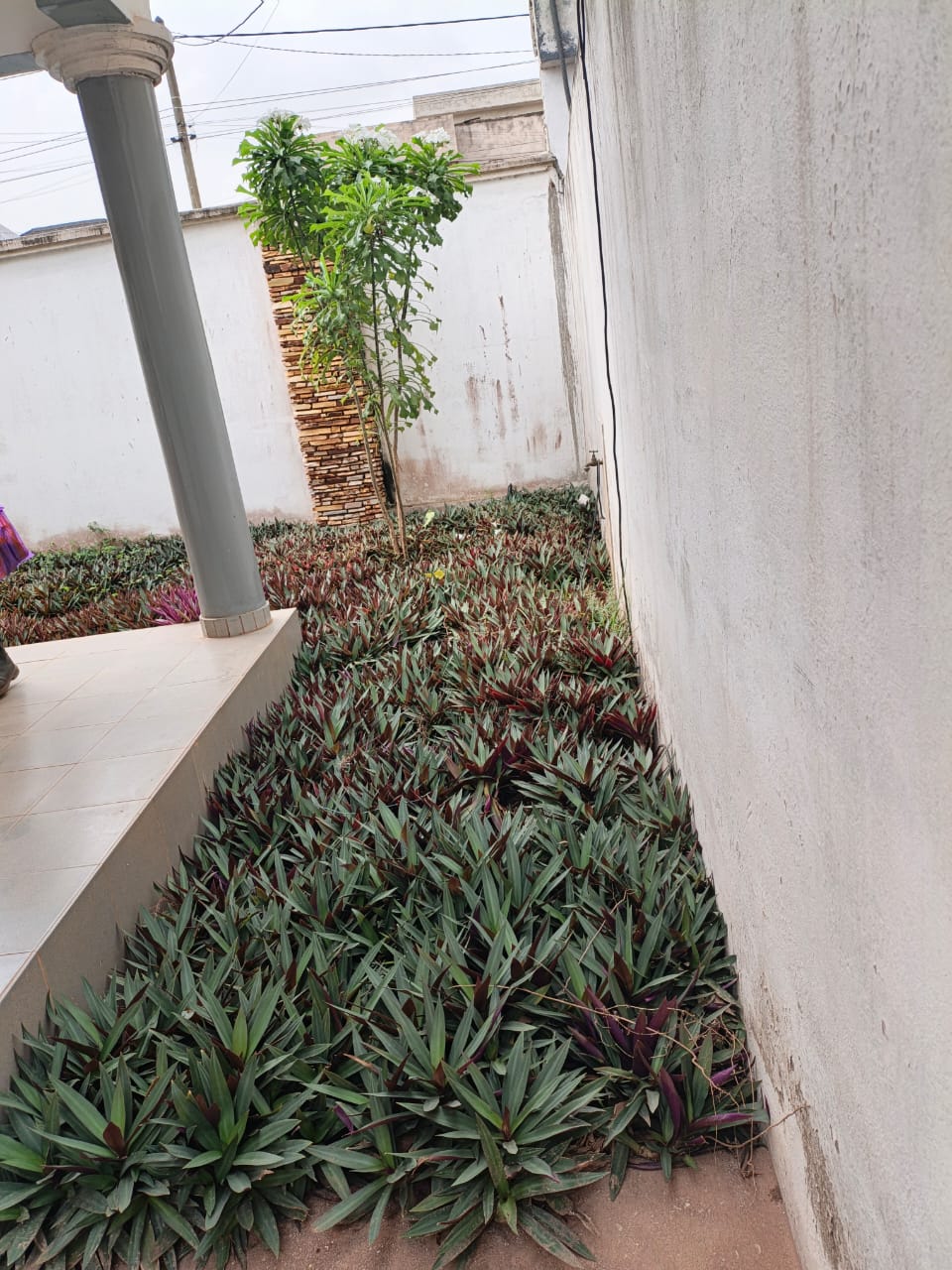 Villa 3 chambres en vente à Agoe Fil Ô Park – 100 millions FCFA