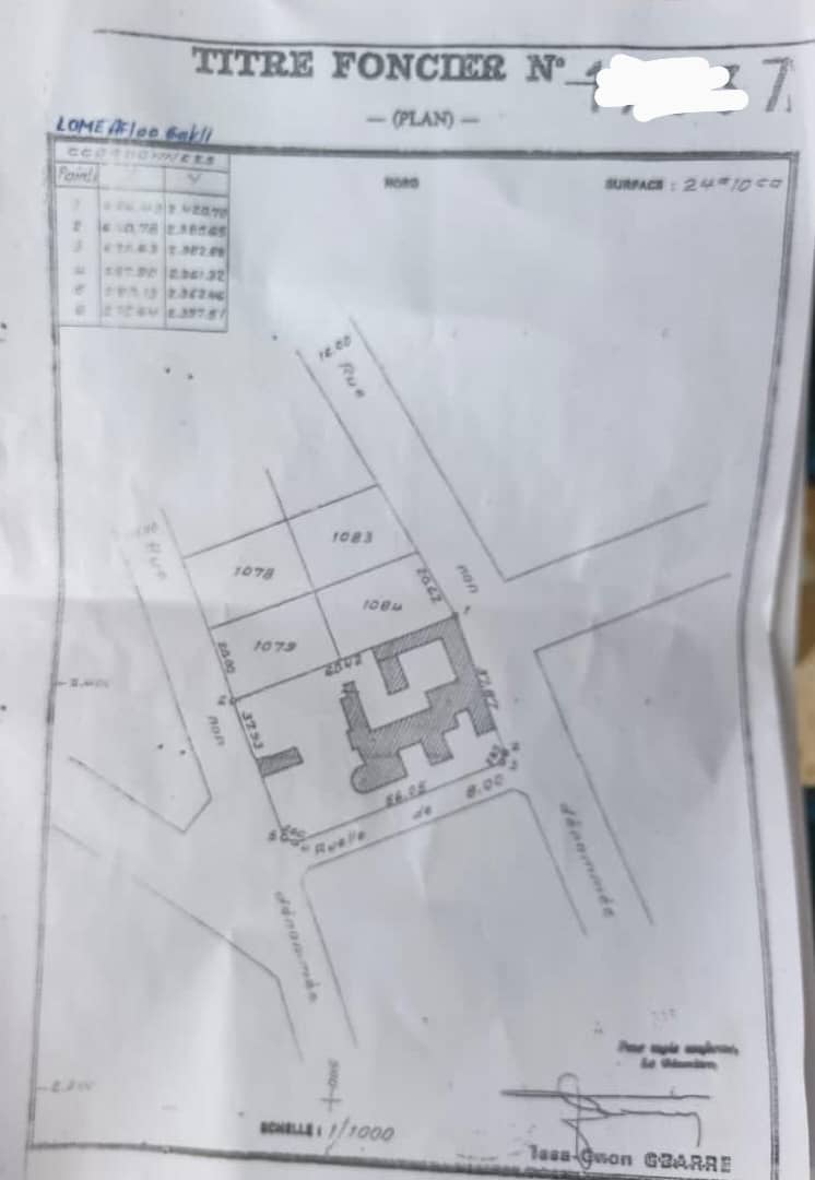 Terrain de 2400 m² en vente en angle de rue à Djidjolé, proche du goudron – 350 millions FCFA