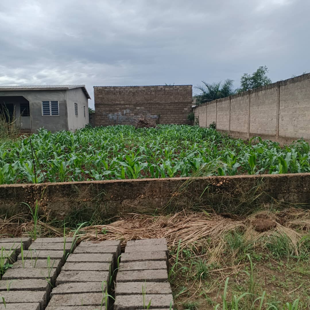 Terrain de 600 m² en vente à Legbassito (Apessito) – 20 millions FCFA