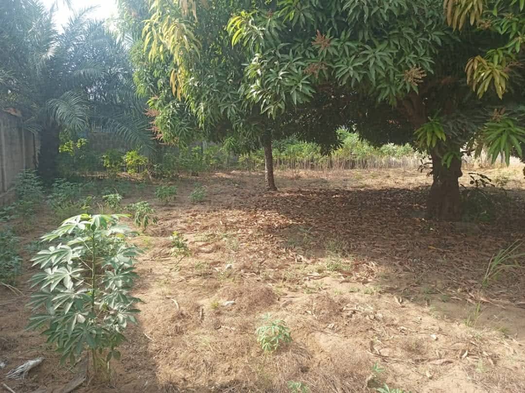 Terrain de 600 m² en vente à Togokomé, angle de rue – 40 millions FCFA