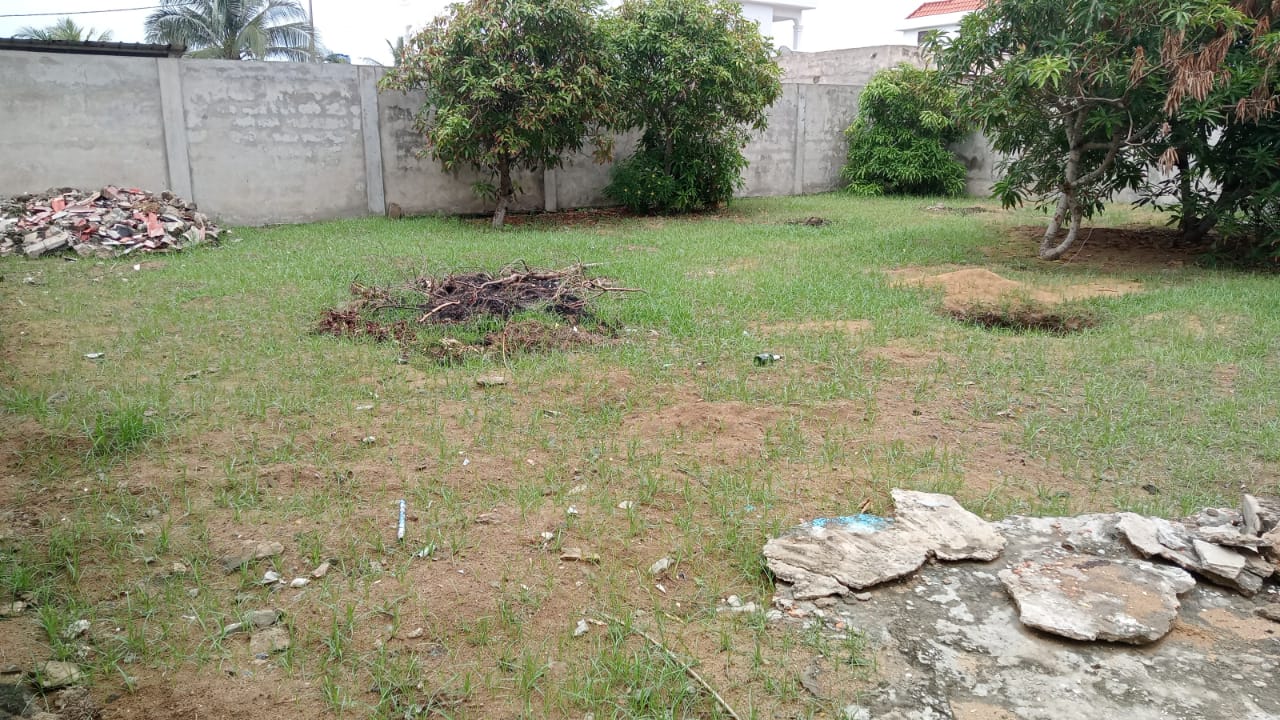 Terrain de 600 m² en vente à Avepozo, côté plage, 300 m du goudron – 40 millions FCFA