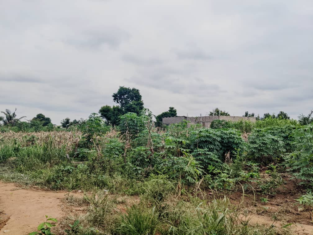 Terrain de 600 m² en vente à Adidogomé derrière le cour primaire – 8 millions FCFA