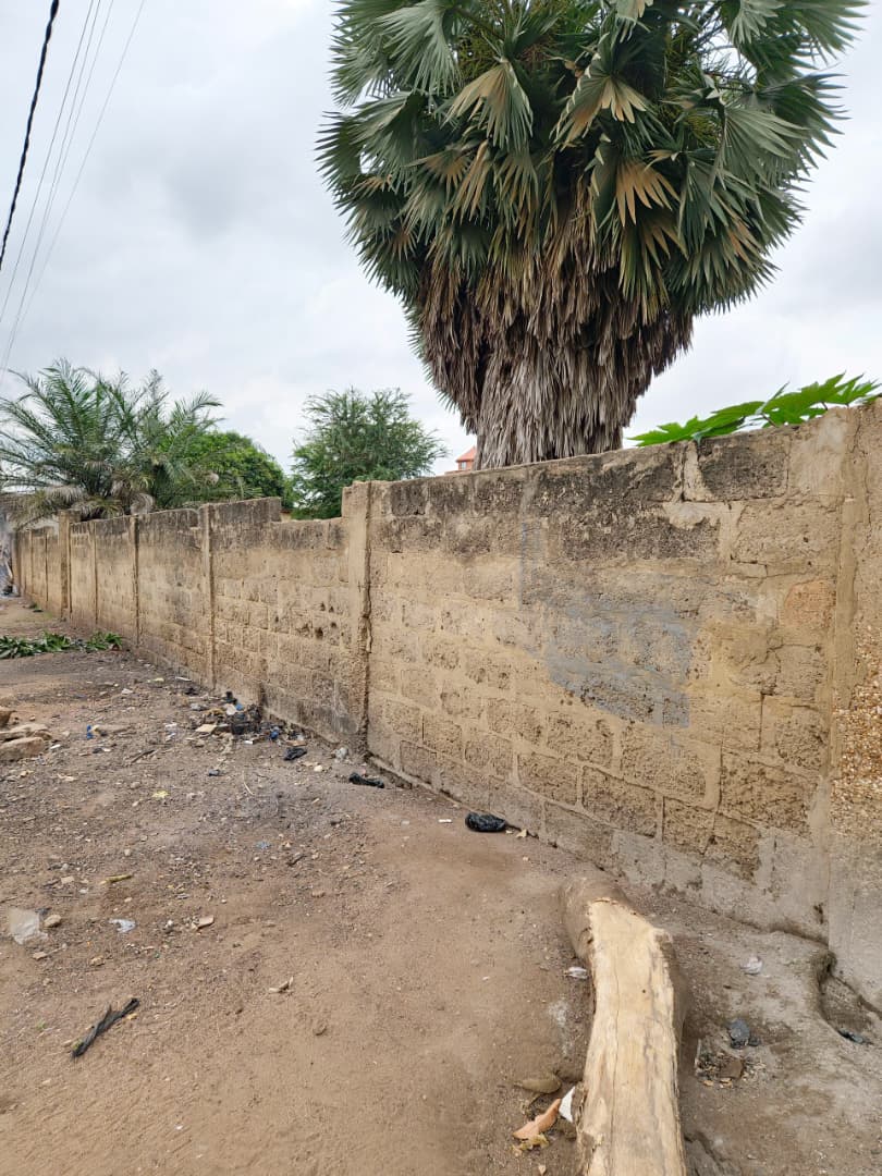 Terrain de 1200 m² en vente en bordure de goudron à Agoè Logopé – 80 millions FCFA