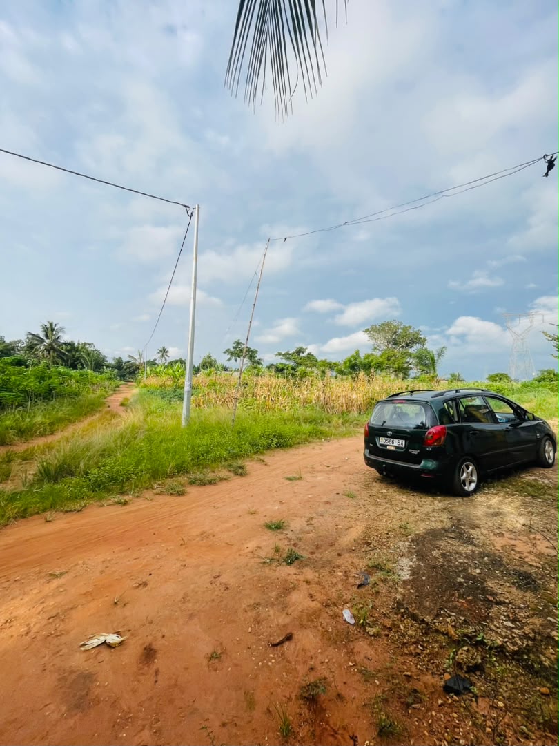 Terrain 1 lot en vente avec accès direct au goudron à Davié Mondji, Tsévié – 6 millions FCFA