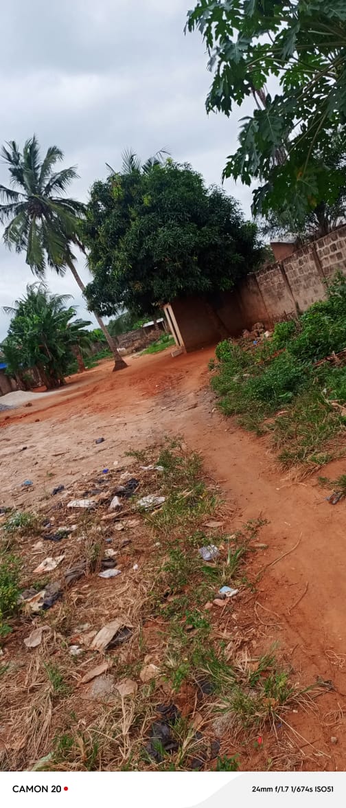 Terrain de 1200 m² en vente à Zanguera, proche du goudron – 18 millions FCFA