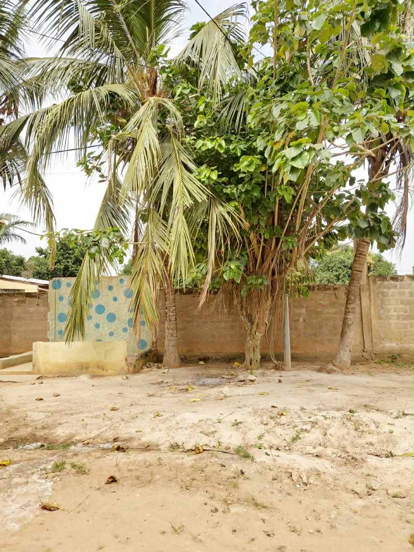 Immeuble R+3 en vente à Agoè Cacaveli – 150 millions FCFA