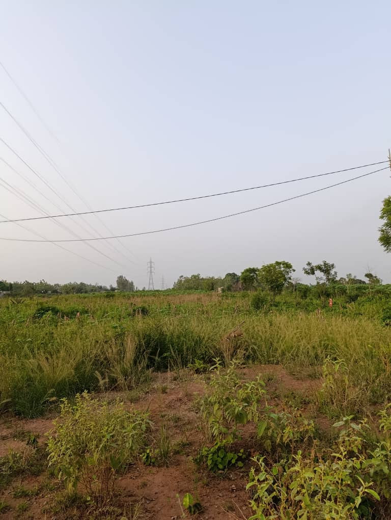 Terrain en vente à Davié Tekpo – 6 millions FCFA le lot