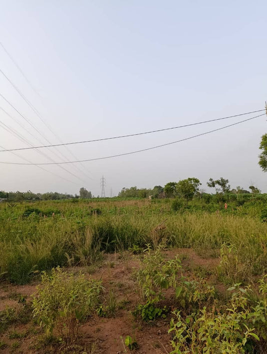 Terrain en vente à Davié Tekpo – 6 millions FCFA le lot