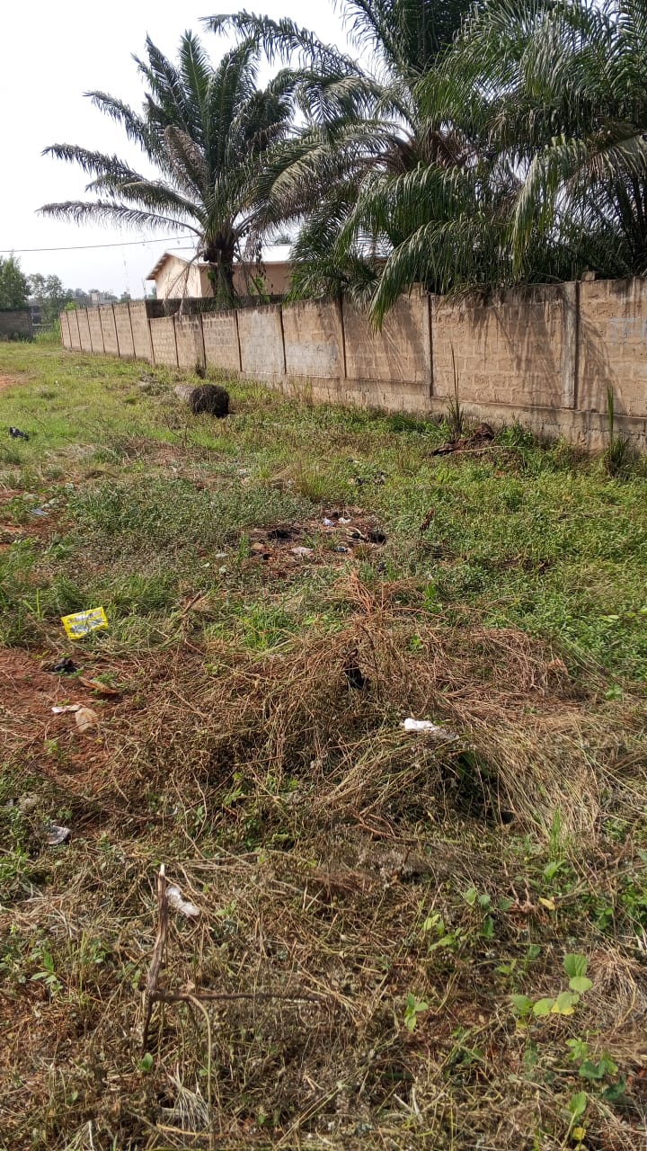 Terrain de 1406 m² en vente à Adetikopé – 45 millions FCFA