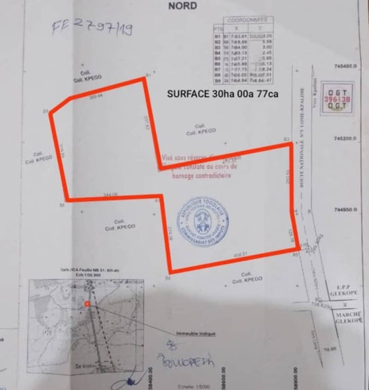 Terrain de 30 hectares en vente en bordure du goudron à Glékopé – 6 millions FCFA l'hectare