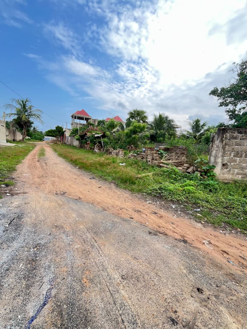 Terrain 1 lot en vente à Adidogomé – 52 millions FCFA