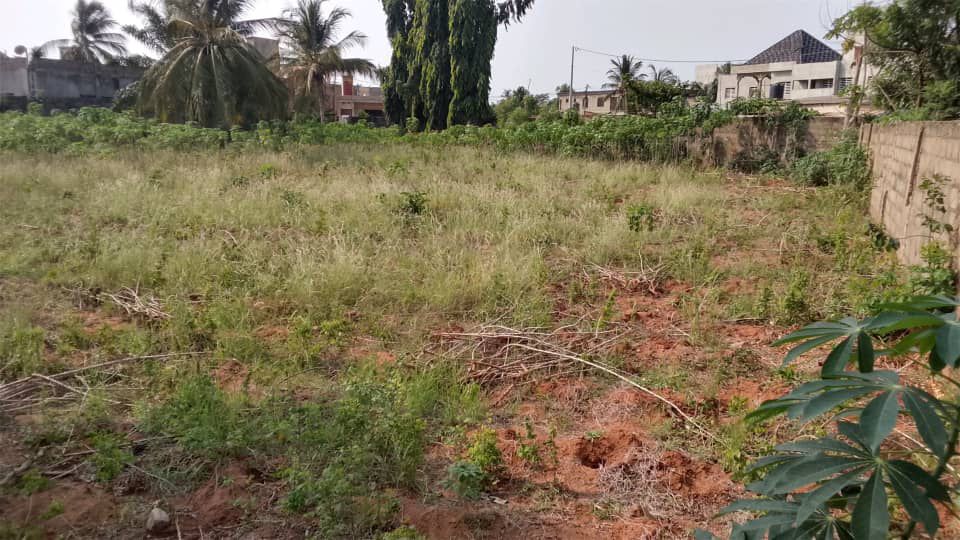 Terrain d'un demi lot en vente à Adidogomé Yokoe Catholique – 13 millions FCFA